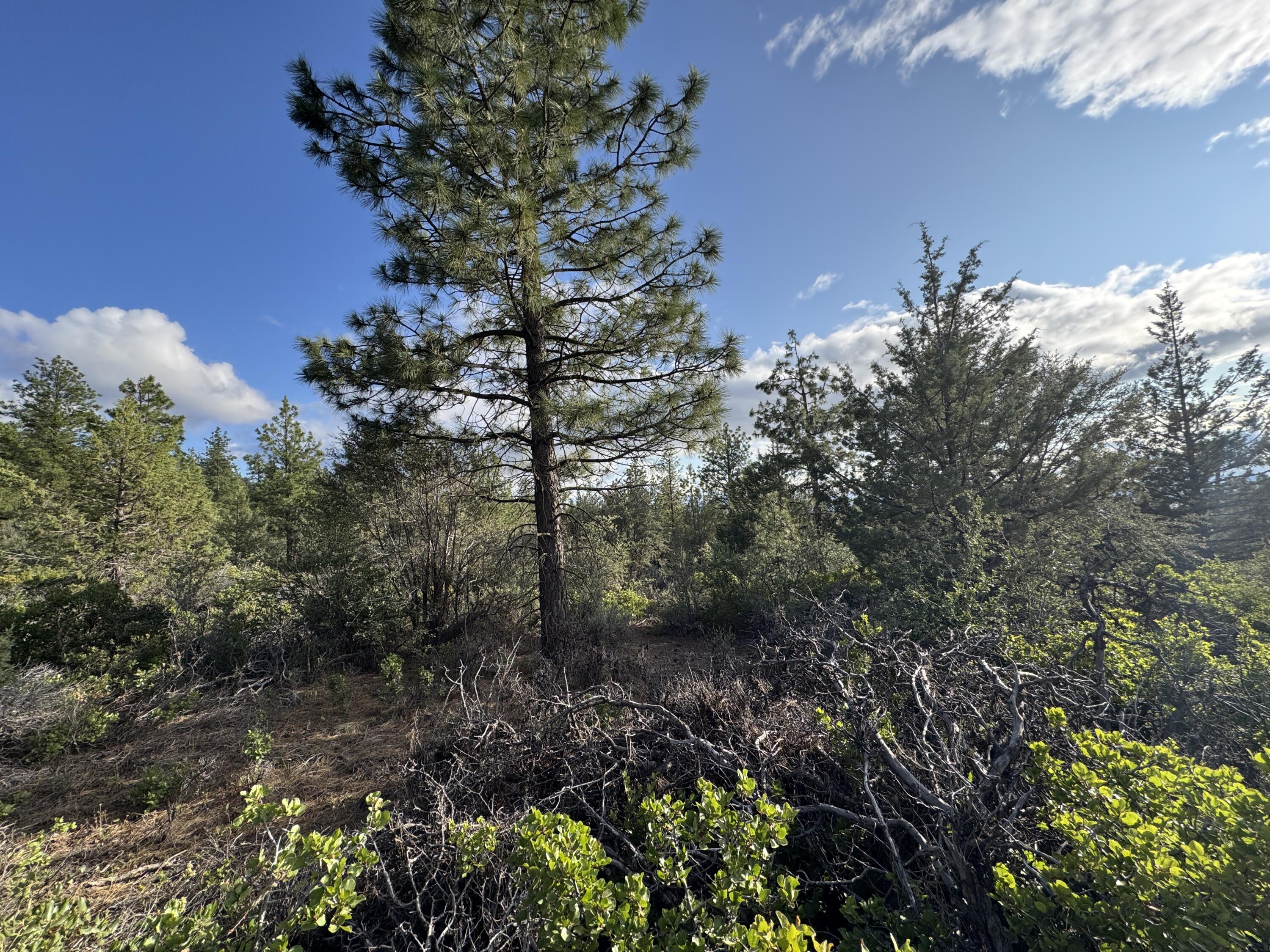 Klamath Falls Forest Estates -Sycan Unit - Land