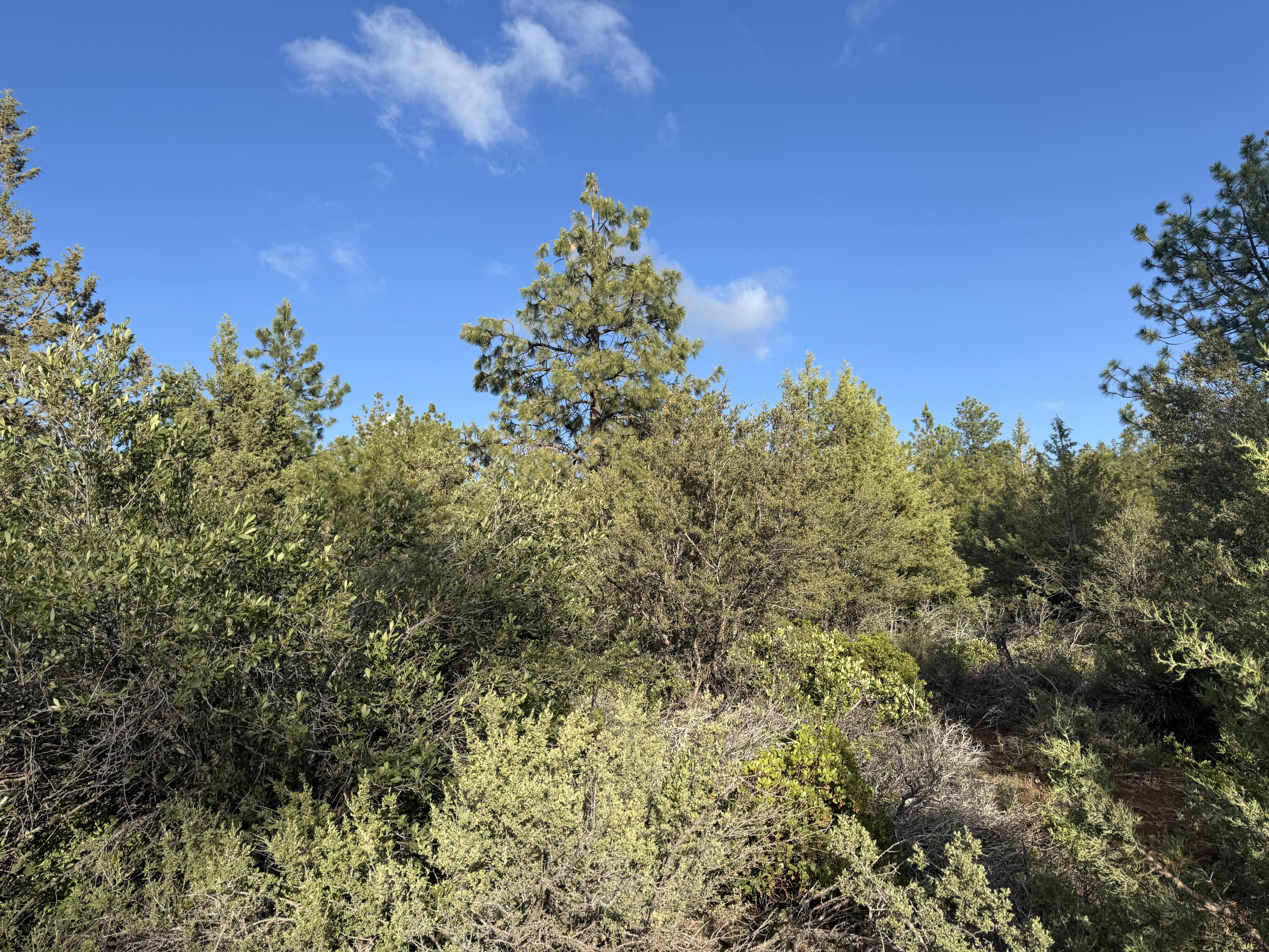 Klamath Falls Forest Estates -Sycan Unit - Land