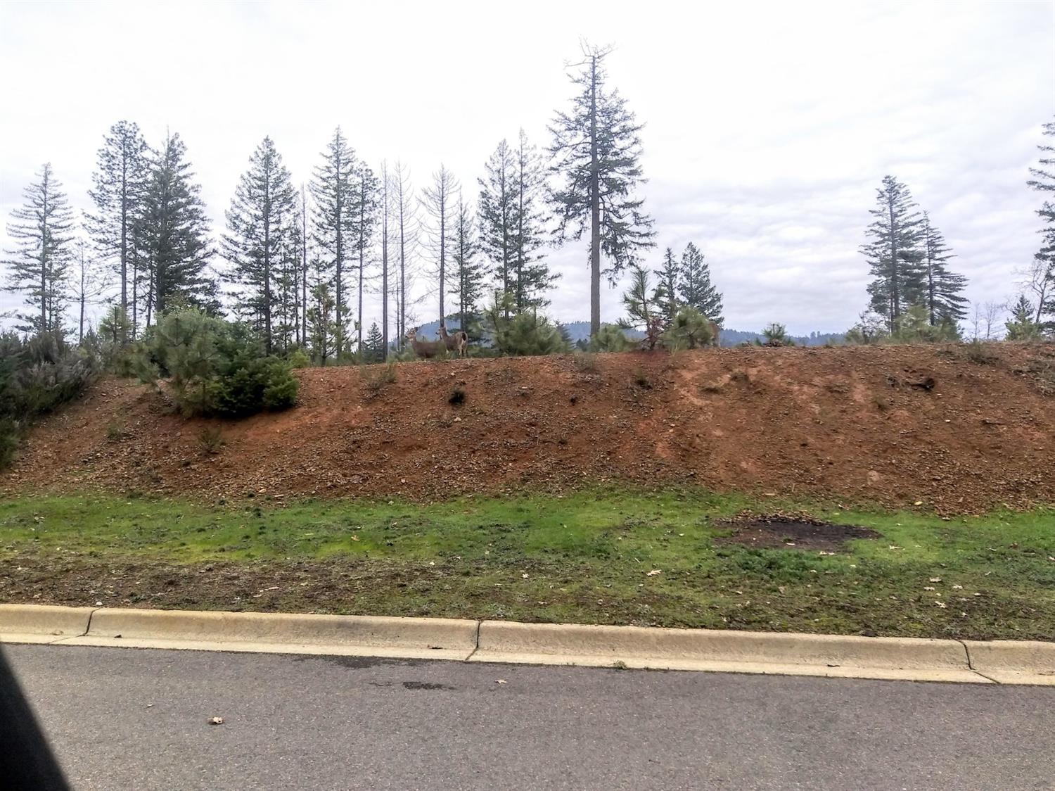 Laurel Pines Subdivision - Land