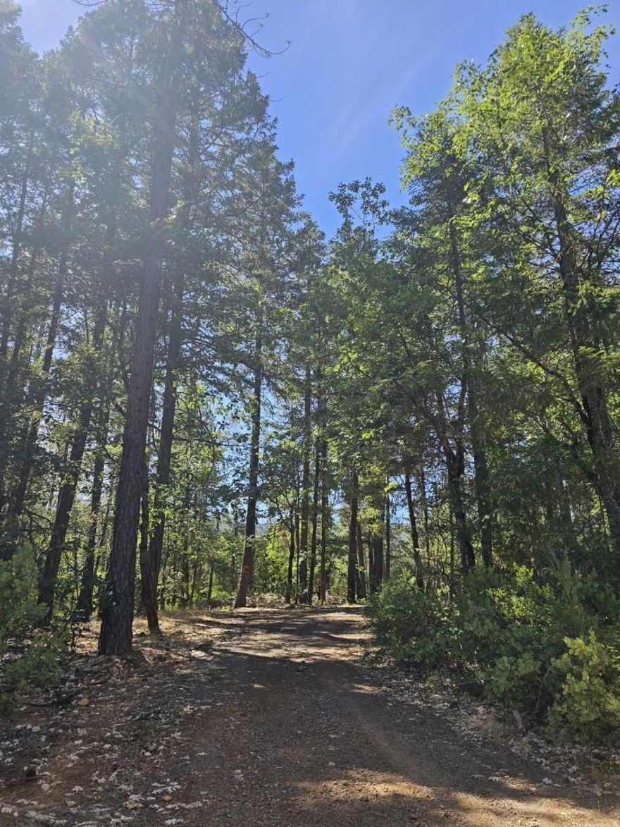 Ready for your home or manufactured home. Previously had a manufactured home on it. Well is on record at 11 gpm when drilled, septic installed and electric was on site but needs to be re-instated. Buyer to do own due diligence. Nice, level parcel.