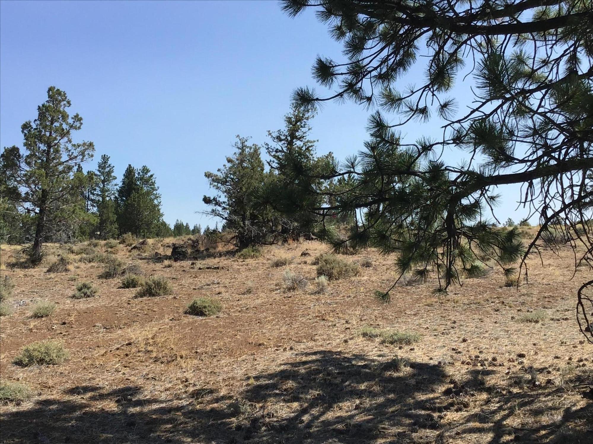 High Meadow - Land