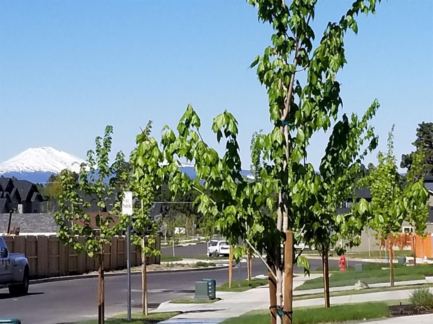 Pettigrew Place - Residential