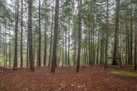 Tiny photo for 330 Tunnel Creek Road, Grants Pass, OR 97526 (MLS # 220213844)