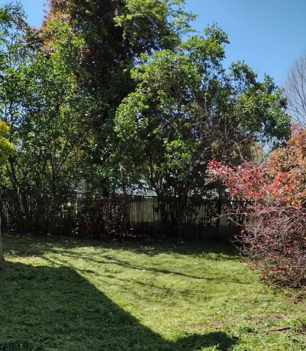 Shasta Meadows Subdivision - Residential