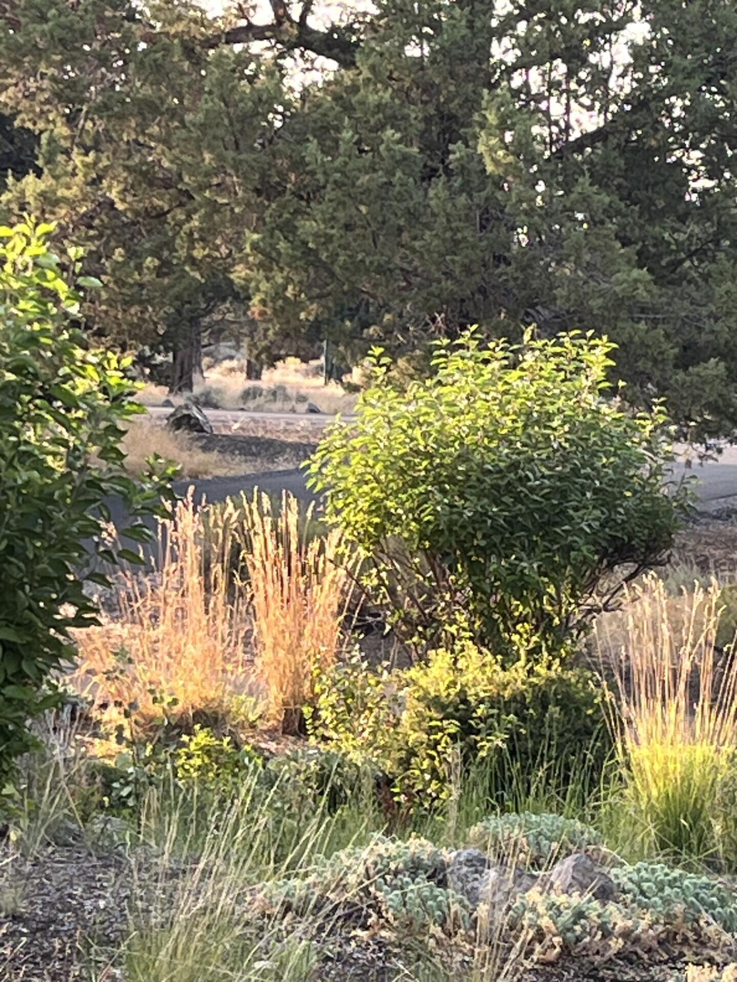 Ridge At Eagle Crest - Residential