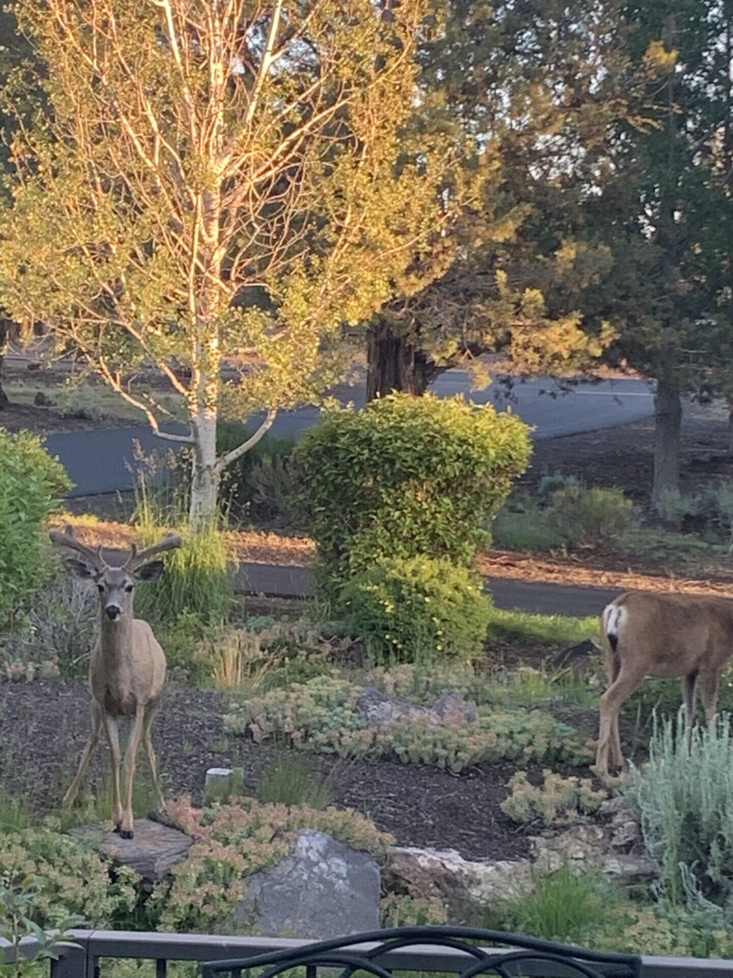 Ridge At Eagle Crest - Residential