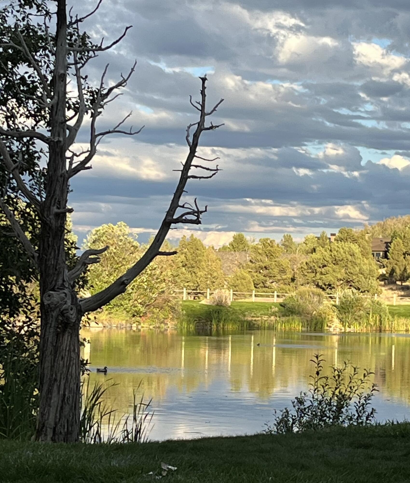 Ridge At Eagle Crest - Residential