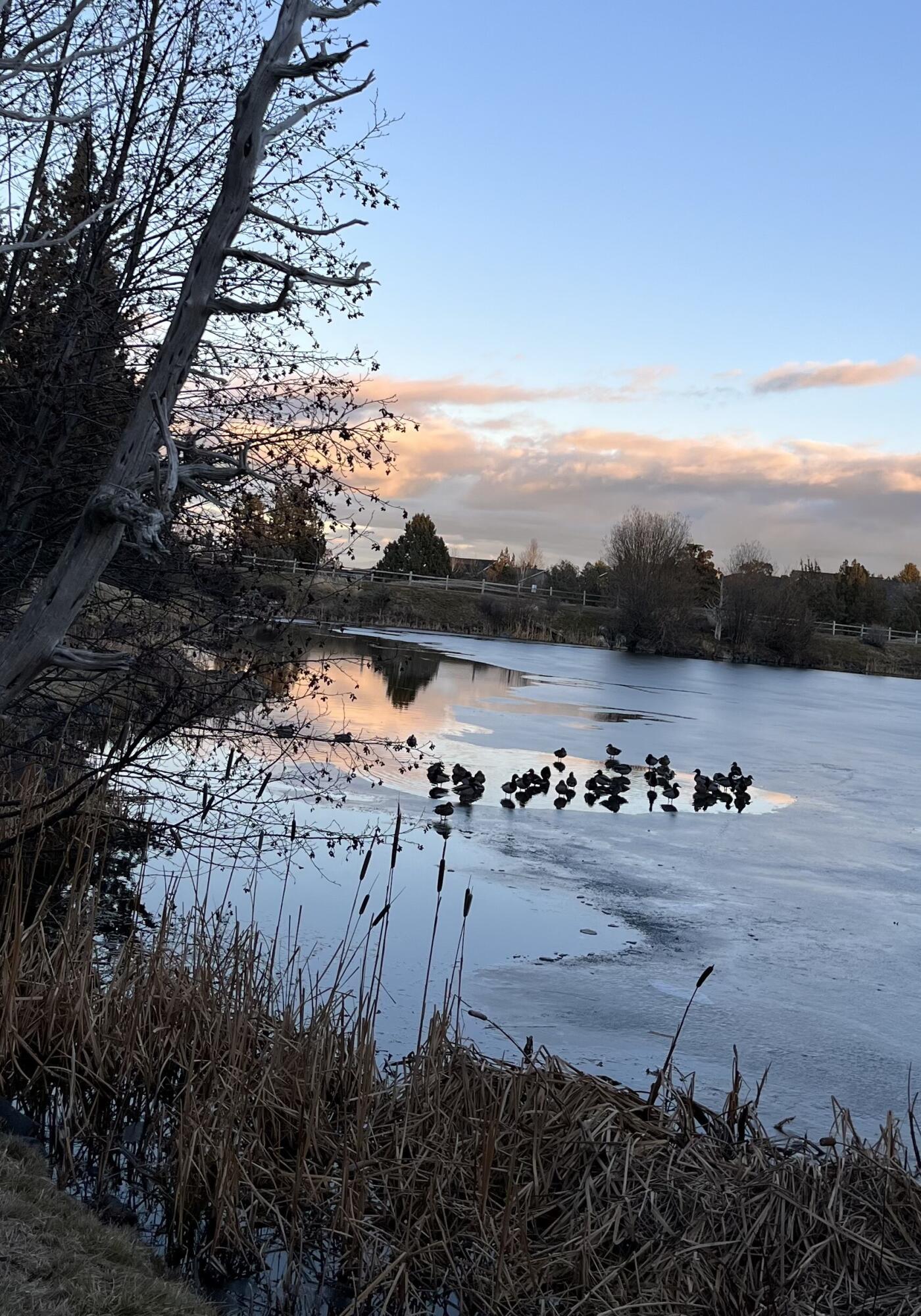 Ridge At Eagle Crest - Residential