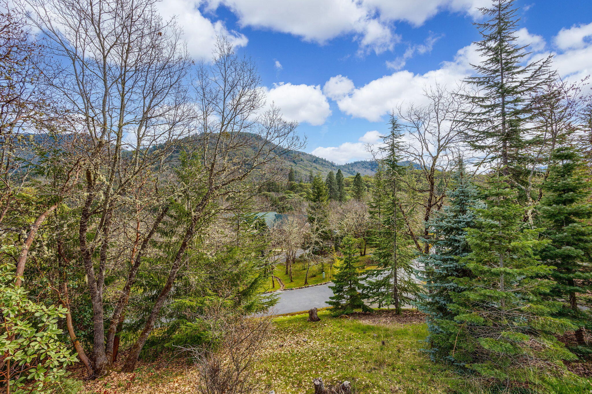 Wildrose - Residential