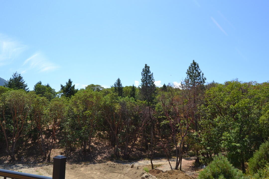 The Pinnacle At Meadow Wood - Residential