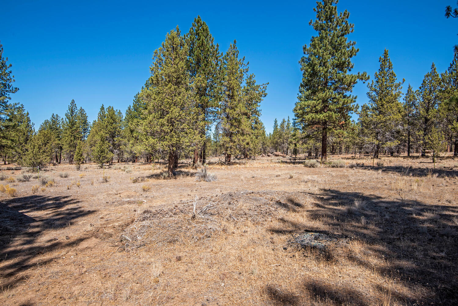 Panoramic View Est - Residential