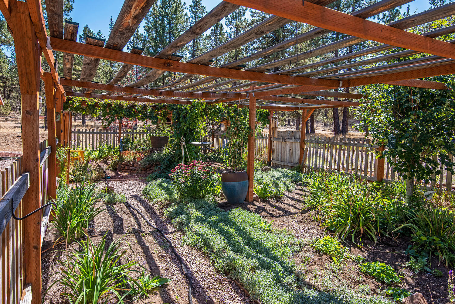 Panoramic View Est - Residential