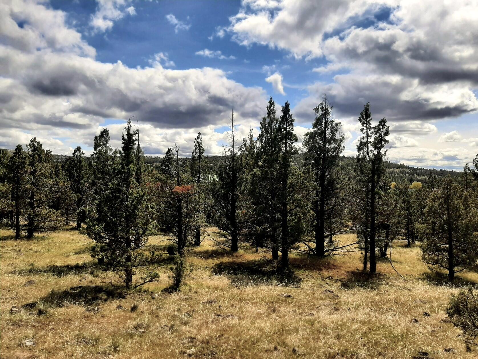 Prineville Lake Acres 1 - Land