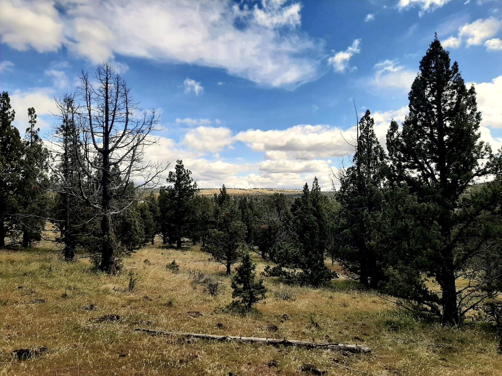 Prineville Lake Acres 1 - Land