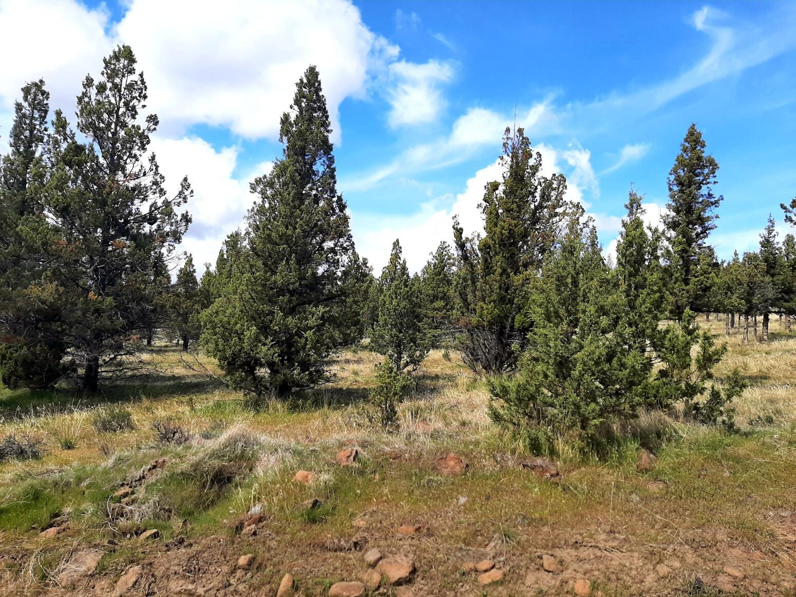 Prineville Lake Acres 1 - Land