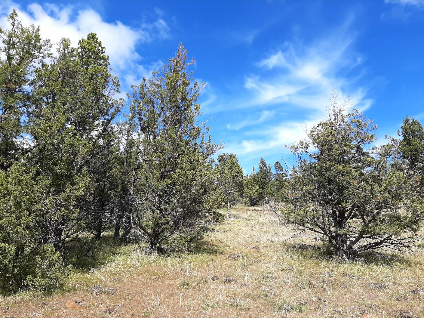 Prineville Lake Acres 1 - Land