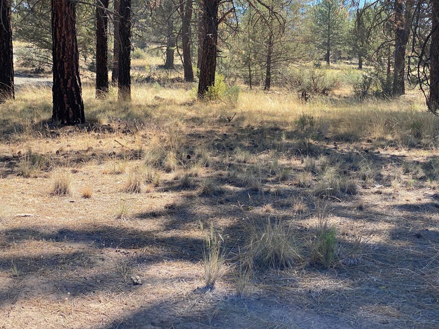 Over 2 acres within 10 miles of Bonanza. Property has a driveway, a flat homesite area towards the back of the property and plenty of pine trees. Owner states that perc tests have been completed. Buyers to do their due diligence regarding zoning, building, septic, etc.
