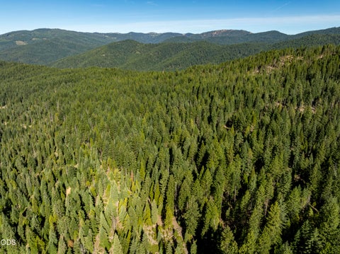 Tiny photo for 0 Hungry Ridge, Ashland, OR 97520 (MLS # 220225545)