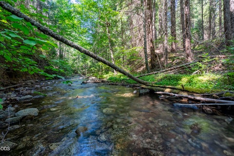 Tiny photo for 0 Hungry Ridge, Ashland, OR 97520 (MLS # 220225545)