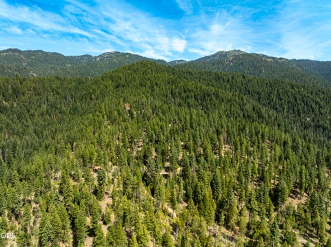 Tiny photo for 0 Hungry Ridge, Ashland, OR 97520 (MLS # 220225545)