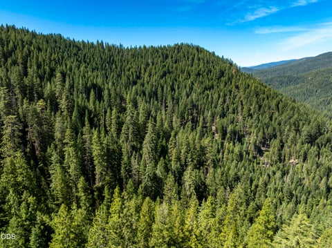 Tiny photo for 0 Hungry Ridge, Ashland, OR 97520 (MLS # 220225545)