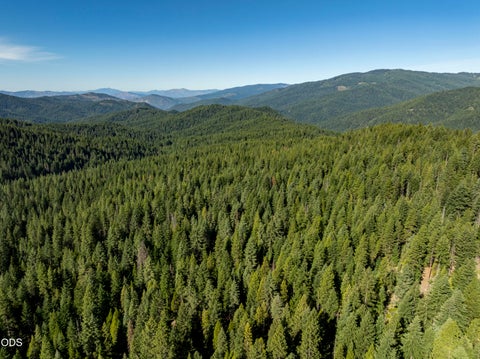 Tiny photo for 0 Hungry Ridge, Ashland, OR 97520 (MLS # 220225545)