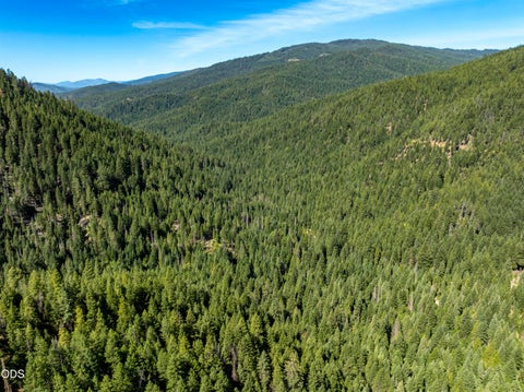 Tiny photo for 0 Hungry Ridge, Ashland, OR 97520 (MLS # 220225545)