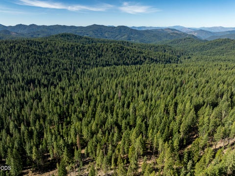 Tiny photo for 0 Hungry Ridge, Ashland, OR 97520 (MLS # 220225545)