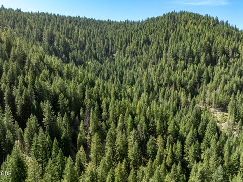 Tiny photo for 0 Hungry Ridge, Ashland, OR 97520 (MLS # 220225545)