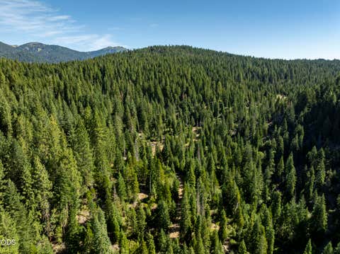 Tiny photo for 0 Hungry Ridge, Ashland, OR 97520 (MLS # 220225545)