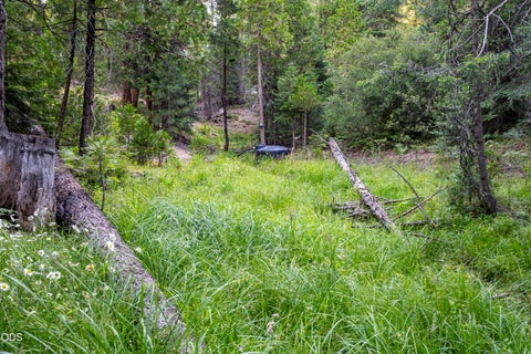 Tiny photo for 0 Hungry Ridge, Ashland, OR 97520 (MLS # 220225545)