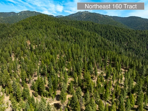 Tiny photo for 0 Hungry Ridge, Ashland, OR 97520 (MLS # 220225545)