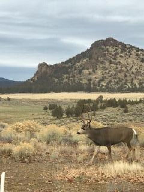 Tiny photo for 1309 NE Barney Street, Prineville, OR 97754 (MLS # 220217138)