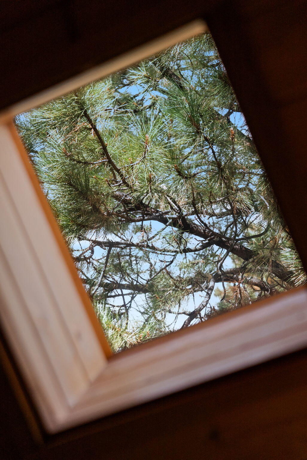 Black Butte Ranch - Residential