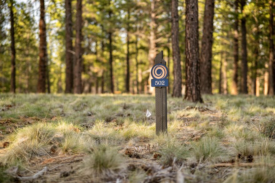 Introducing Wild Pine Homesites at Caldera Springs! Explore our newest neighborhood — where serene water views meet forested landscapes. Nestled in our scenic northern section, Wild Pine Homesites offer an unmatched opportunity to experience the coveted Caldera Springs lifestyle. Limited-time incentives include 5% off list price and Developer paid HOA dues through December 31, 2026 for lots under contract by December 31, 2025. Featured Lot 502 is a spacious .50 acre homesite, large enough to accomodate a 6 bedroom home, and backs to a picturesque pond and water features. Framed by towering pines and basking in year-round sun, this lot provides the perfect setting to design and build your custom dream home. Owners enjoy special access to the Forest House Amenity & Aquatic Center along with golf, fitness, pickle ball, tennis, pools, kayaks & paddle boards. Caldera Springs is located near Sunriver, just 15 minutes to Bend and 30 minutes to world class skiing at Mt. Bachelor. Taxes TBD.