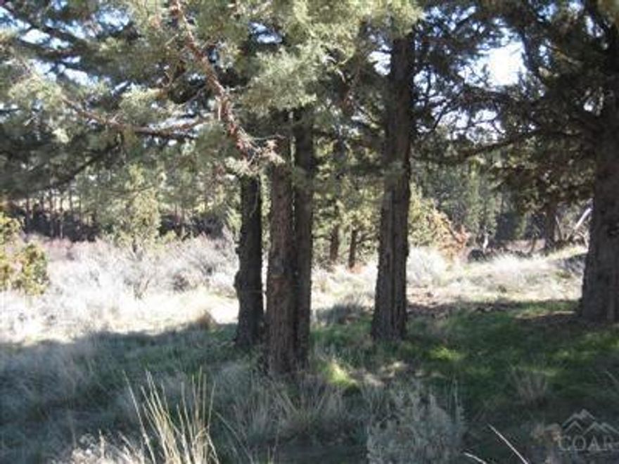 Nice 2.5 acre parcel located near skiing, hunting, fishing, snowmobiling, etc. Come build your dream home and enjoy year round recreational activities.