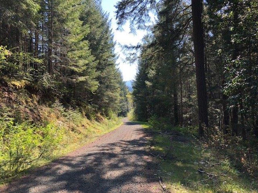 Just 3 miles from the scenic Hellgate Canyon and Indian Mary State Park on Southern Oregon's Rogue River lie these 80 acres of timberland. Uniquely situated this acreage is completely surrounded by BLM and is accessed via Stratton Creek Rd and a BLM road. Per Sellers there is an estimated 500 MBF of timber on the property predominantly made up of Doug Fir. Year round Stratton Creek meanders through over a 1/4 mile of the land offering multiple beautiful campsites.
