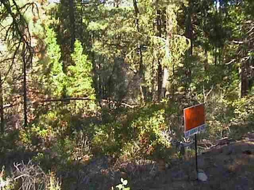 2.30 Acre Parcel In The Pines Approx. 30 Minutes East Of Klamath Falls.
