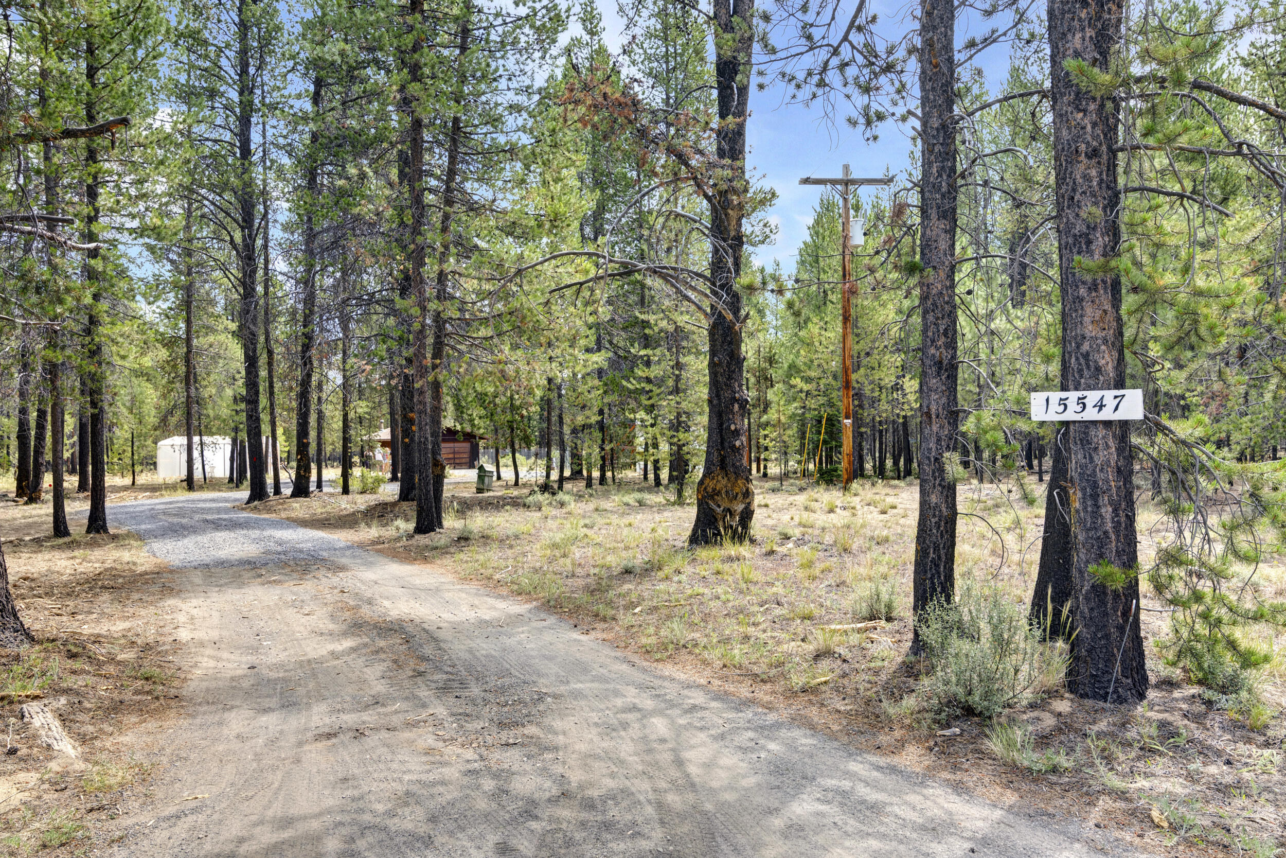 Forest View - Residential