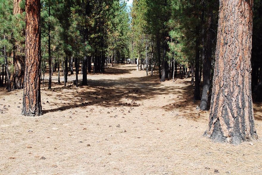 Nice, clean, PRIVATE wooded lot with 2 RV hookups (electric/water) in Ponderosa Pines. Great spot for building your new home or just vacationing. Minutes from Deschutes River and Cascade Lakes. Come see today!