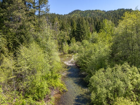 Tiny photo for 8501 Deer Creek Road, Selma, OR 97538 (MLS # 220223415)