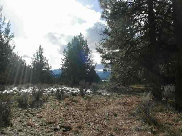 Sprague River - Land