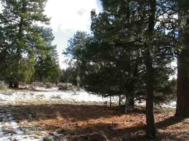 Sprague River - Land