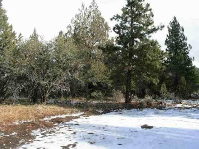 Sprague River - Land