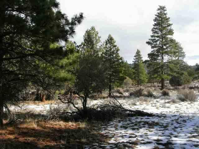 Sprague River - Land