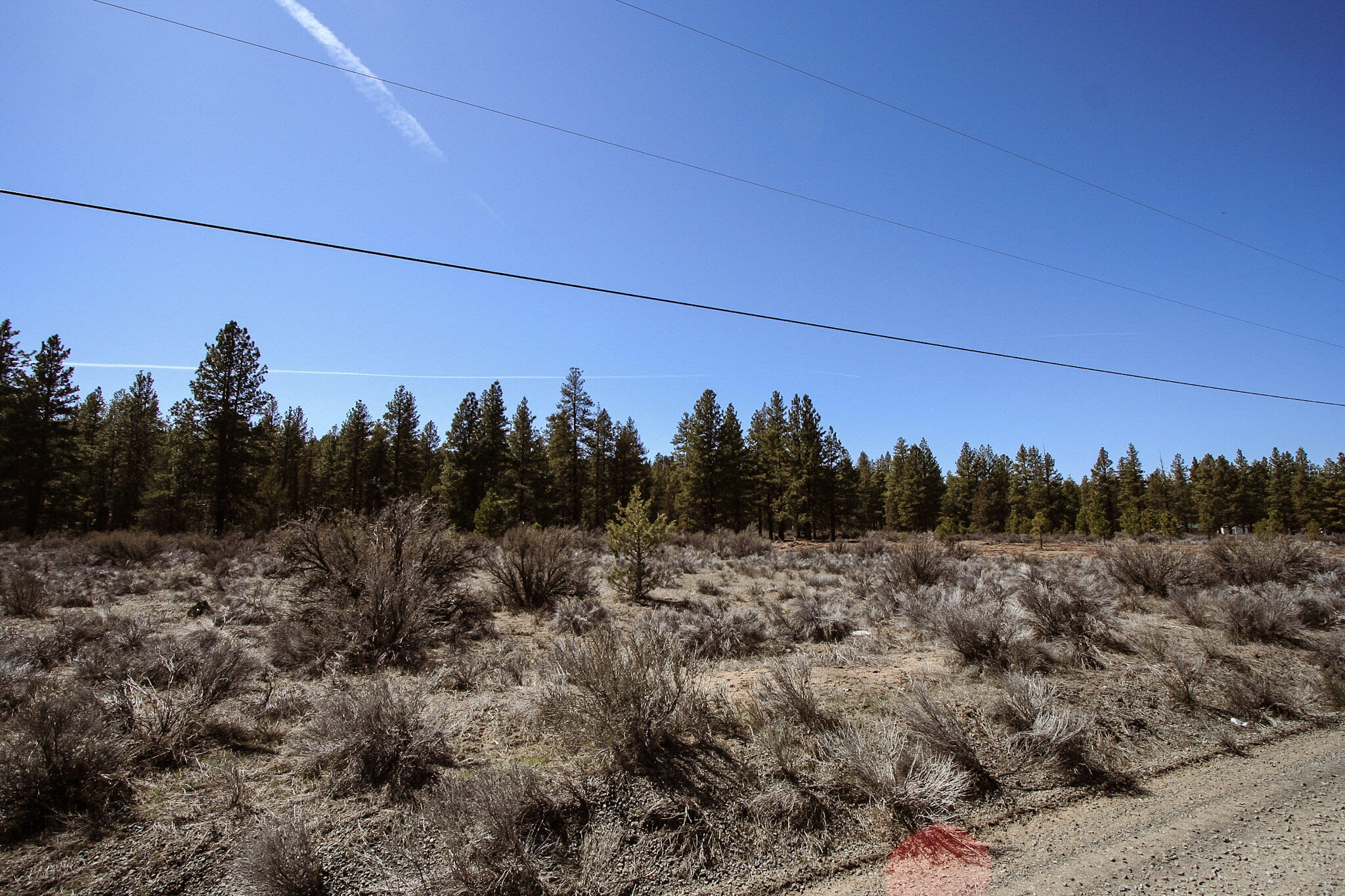 Klamath Forest Estates - Land