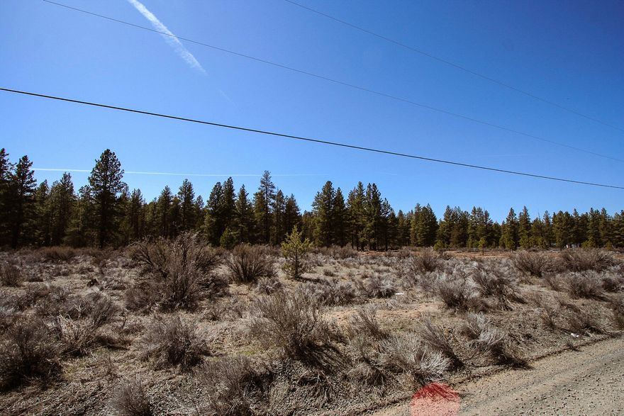 Own your own piece of paradise in Klamath Forest Estates.  Beautiful 1.86 acre lot on Bufflehead Drive.  
From the Seller - ''This property has power at the line with great well possibilities and nicely maintained roads. It's not too rocky with great drainage. There are many homesite possibilities as well as solar options. This property would also work well for buyers looking to have animals.'' Buyer to do own due diligence on the possibility of building on this lot and the availability and location of utilities.