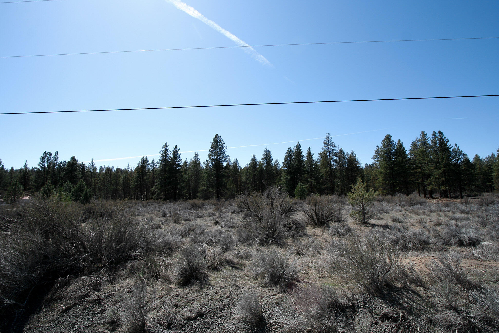 Klamath Forest Estates - Land