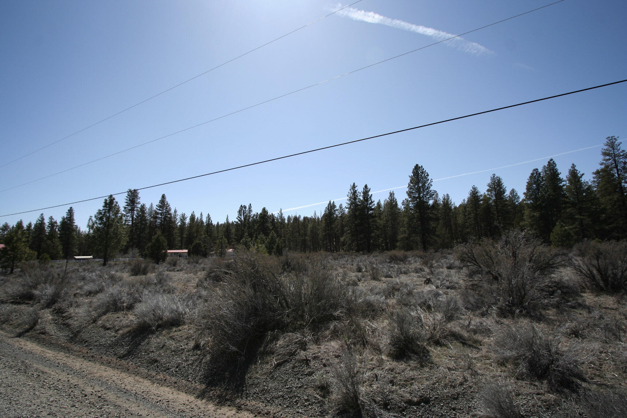 Klamath Forest Estates - Land