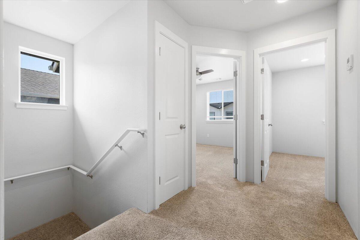 Camus Court - Residential